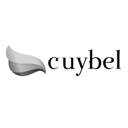 Current image